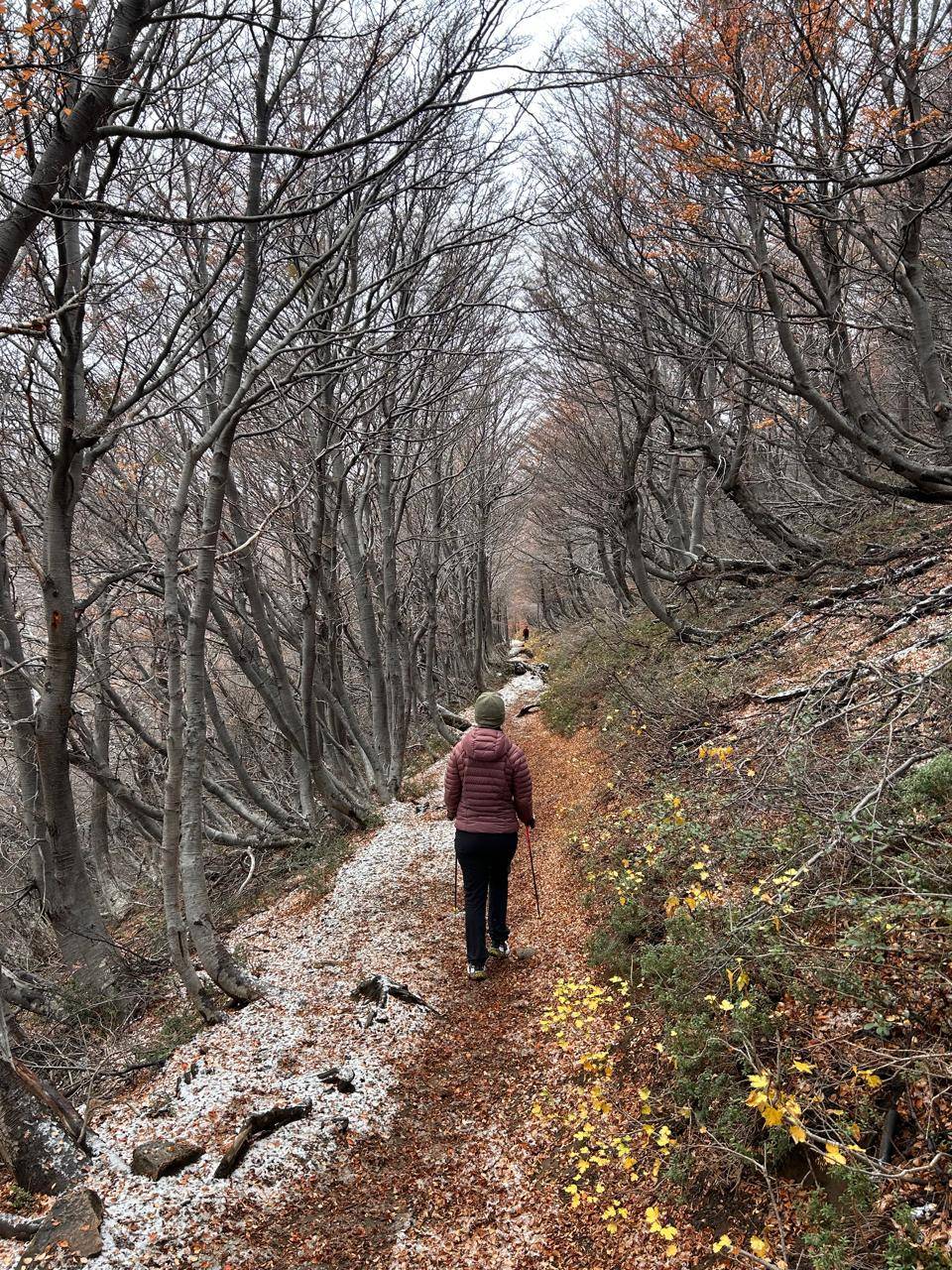 Corredora de casaco numa trilha de floresta coberta de granizo